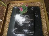 image of grave number 224211